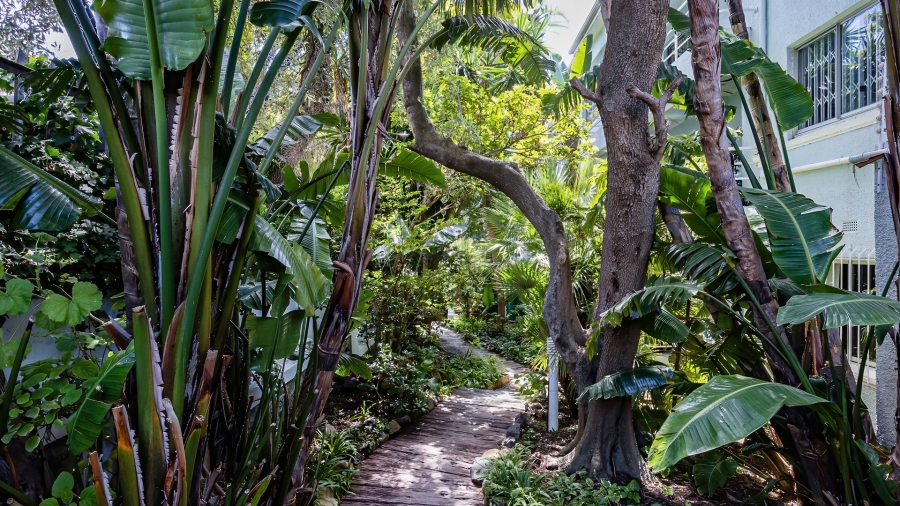 To Let 0 Bedroom Property for Rent in Sea Point Western Cape